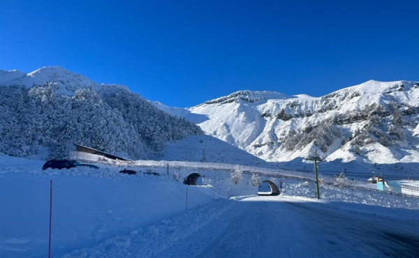 91a82026-4c89-49ab-a966-ce78bfc5bb74-1