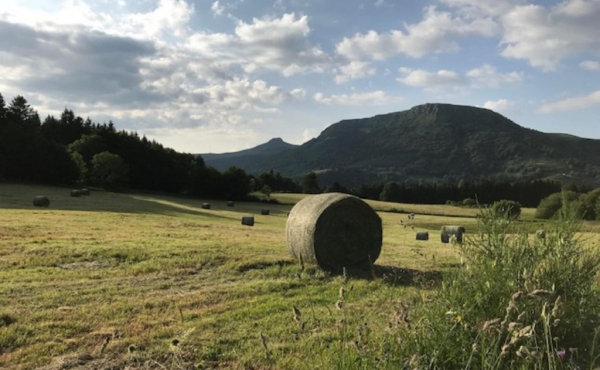 0000920008_11-mitchell